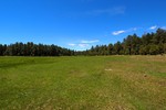 photo thumbnail #13
