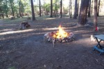 photo thumbnail #8