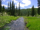 photo thumbnail #7