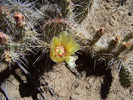 photo thumbnail #12