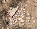 photo thumbnail #13