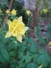 photo thumbnail #9