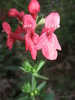 photo thumbnail #10