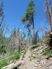 photo thumbnail #4