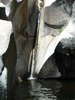 photo thumbnail #9
