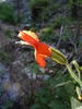 photo thumbnail #14