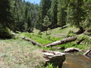 photo thumbnail #2