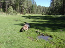 photo thumbnail #2