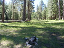 photo thumbnail #3