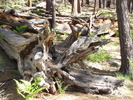 photo thumbnail #1