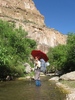 photo thumbnail #11