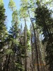 photo thumbnail #10