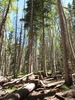 photo thumbnail #11