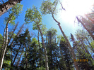 photo thumbnail #12