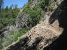 photo thumbnail #8