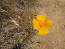 photo thumbnail #14