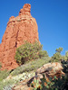 photo thumbnail #8