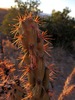 photo thumbnail #8