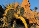 photo thumbnail #9