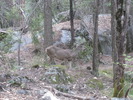 photo thumbnail #3