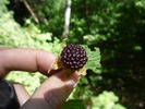 photo thumbnail #5