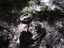 photo thumbnail #8