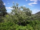 photo thumbnail #13