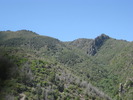 photo thumbnail #9