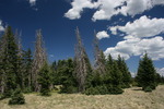 photo thumbnail #11