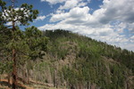 photo thumbnail #14