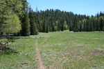 photo thumbnail #1