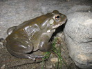 photo thumbnail #2