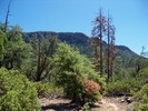 photo thumbnail #2