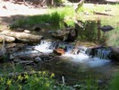 photo thumbnail #11