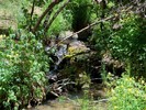 photo thumbnail #12
