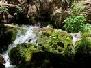 photo thumbnail #13
