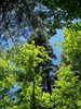 photo thumbnail #14