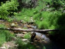 photo thumbnail #15
