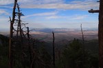 photo thumbnail #1