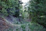 photo thumbnail #8