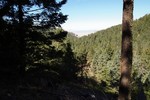 photo thumbnail #10