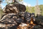 photo thumbnail #2