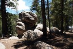 photo thumbnail #7
