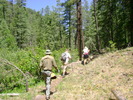 photo thumbnail #4