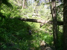 photo thumbnail #10