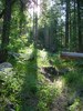 photo thumbnail #11