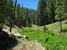 photo thumbnail #10