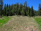 photo thumbnail #15