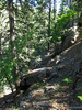 photo thumbnail #3