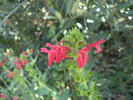 photo thumbnail #8